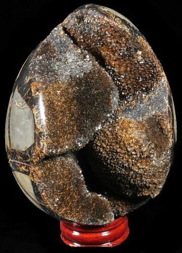 Septarian Dragon Egg Geode - Black Crystals #57394